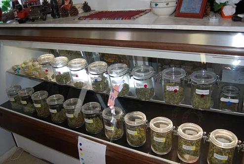 budtender jobs