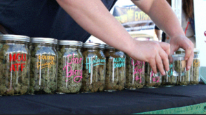 California Dispensary Jobs