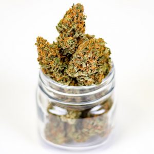 Dispensary Jobs in Mississippi