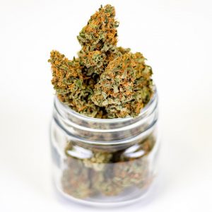 Dispensary Jobs in Indiana