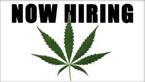 Cannabis Basic Training