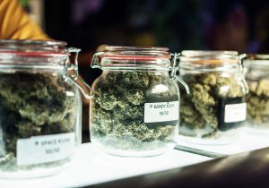 Medical Marijuana 101 What Does A Dispensary Worker Need To Know