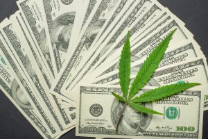 how much money can you make growing pot