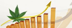 Cannabis Hemp Sales